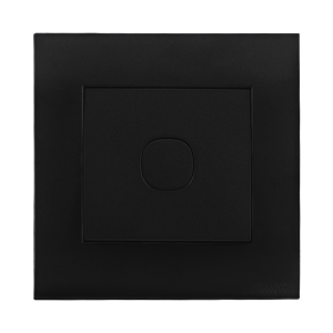 blank plate