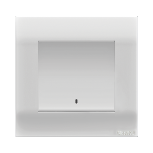 Double Pole Switch