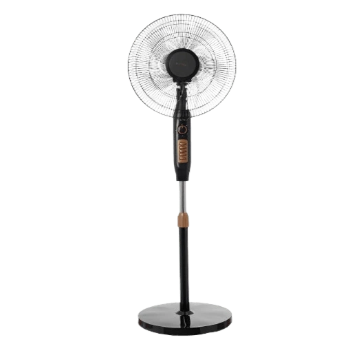 image-removebg-preview (56) (1) Havells | Speed Stand Fan | RSF0253 - 16" | Black with Gold - Image 1